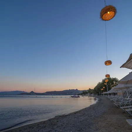 Regia Mare & Bodrum オータキャンツ