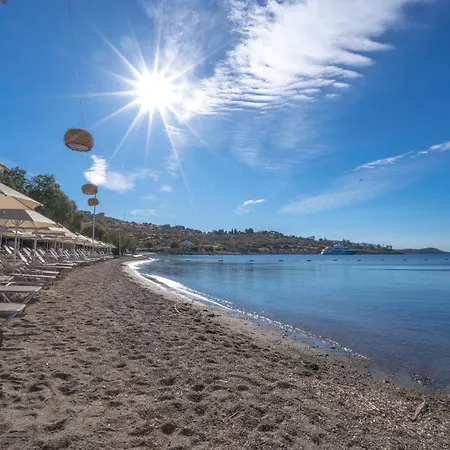 Regia Mare & Bodrum Ortakent