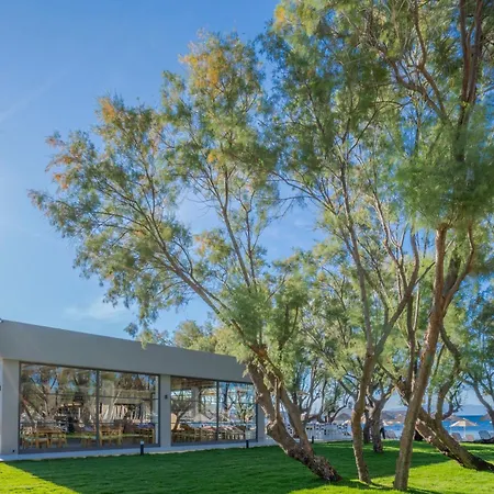 Hotel Regia Mare & Bodrum 4*