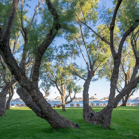 Hotel Regia Mare & Bodrum Ortakent